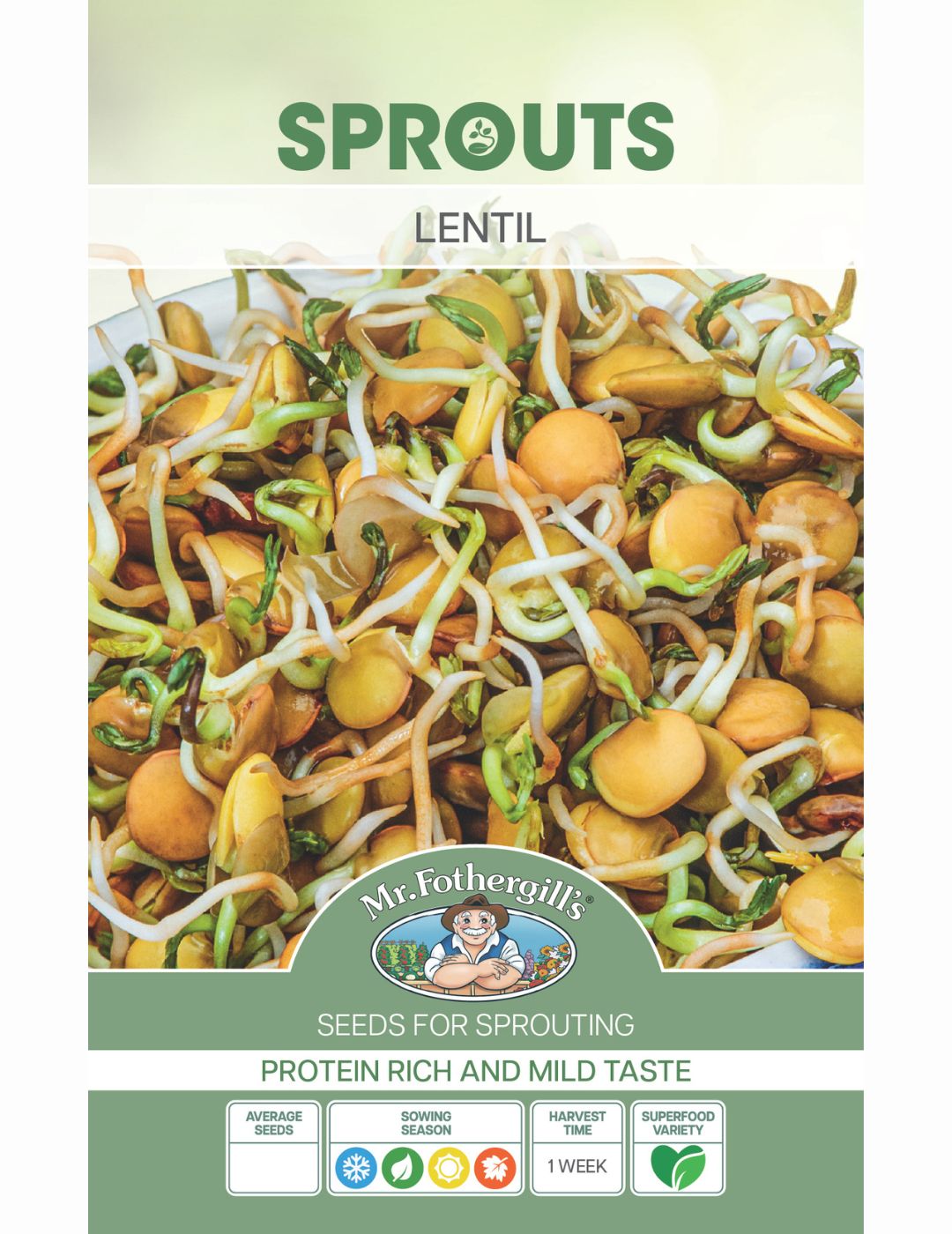 Sprouting Lentil Seeds