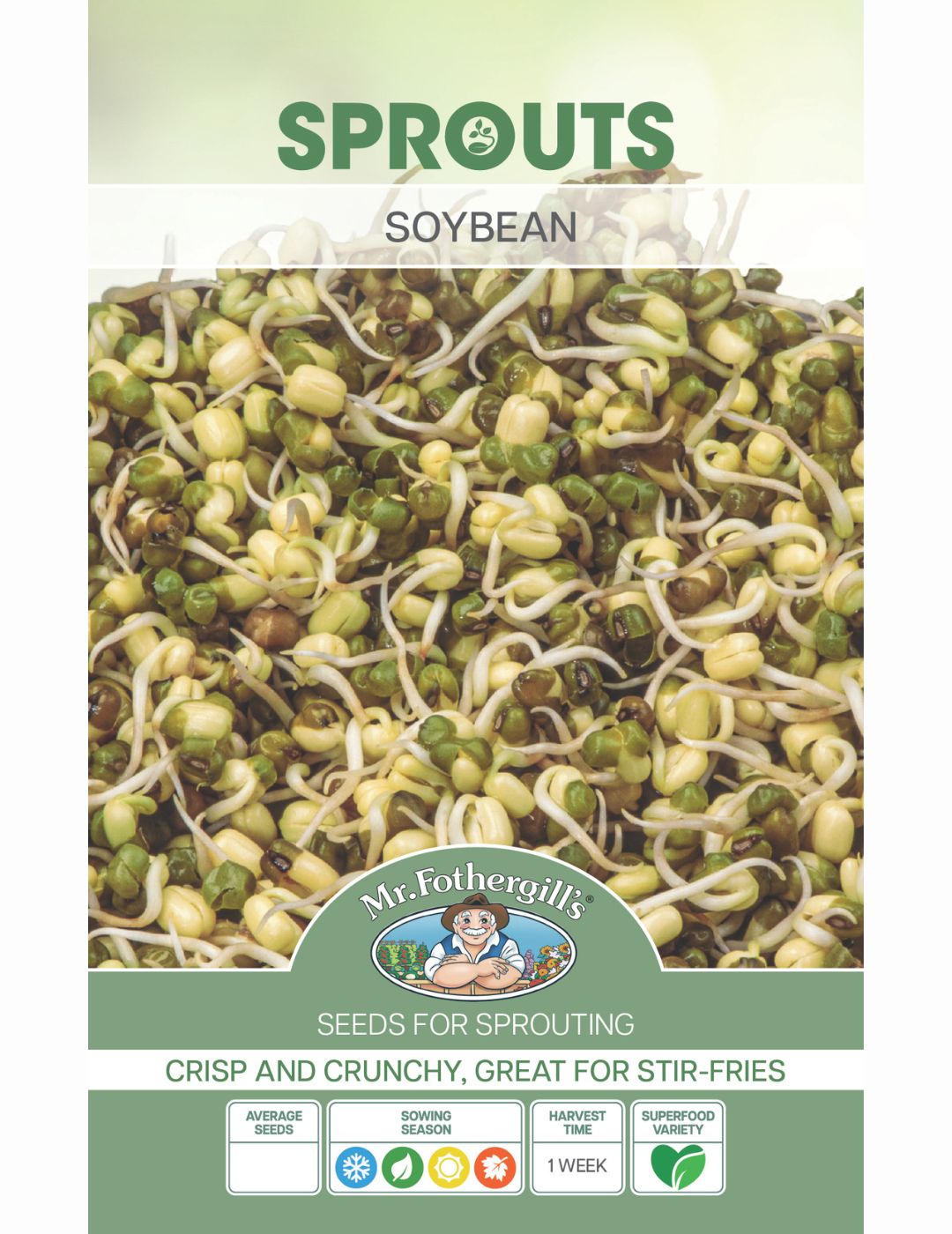 Sprouting Soybean Seeds