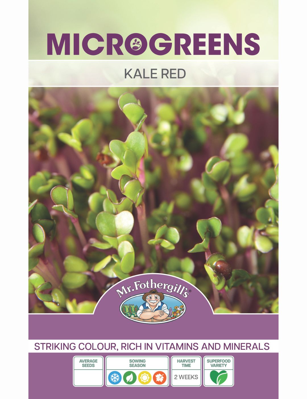 Microgreen Red Kale Seeds