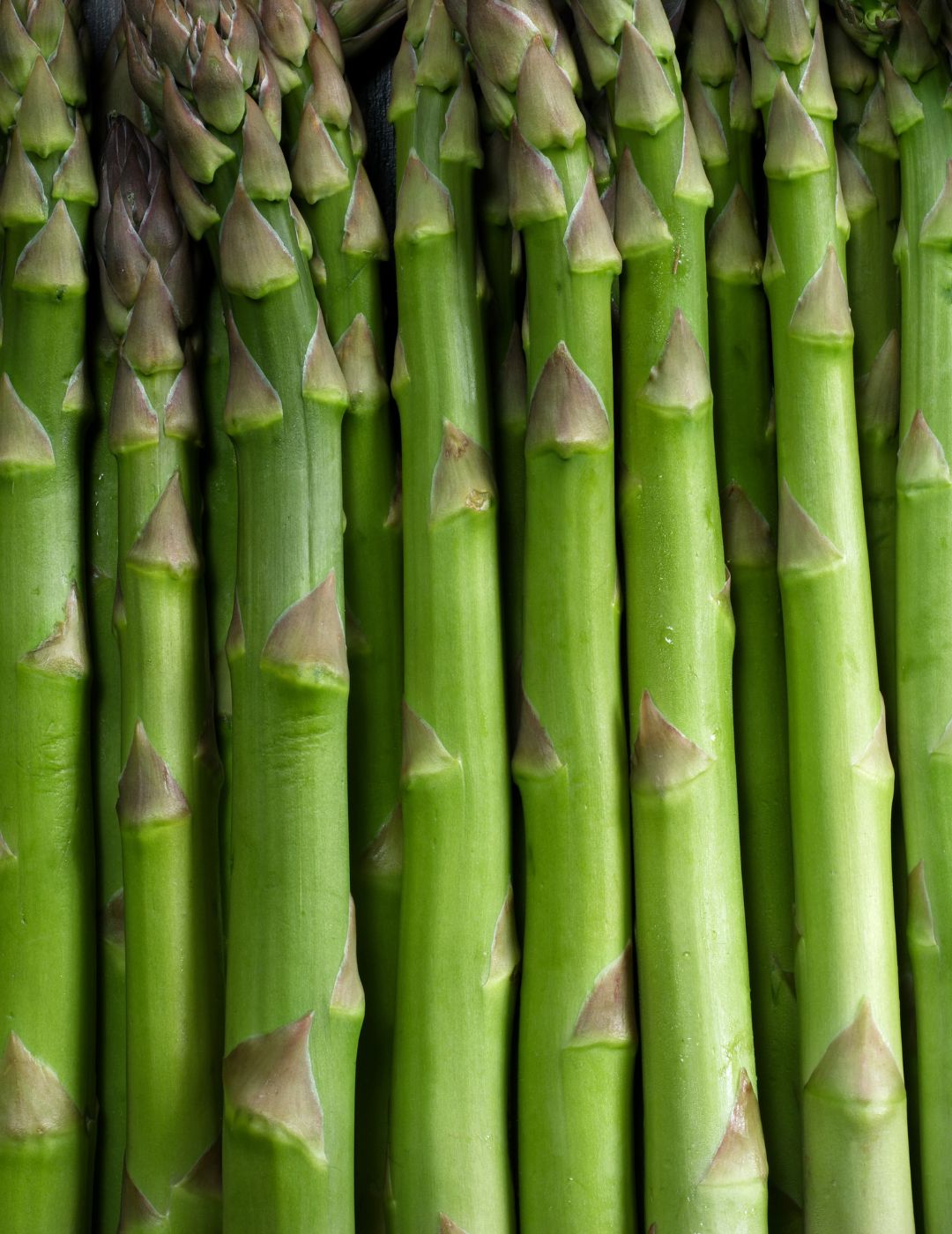 Asparagus Crowns