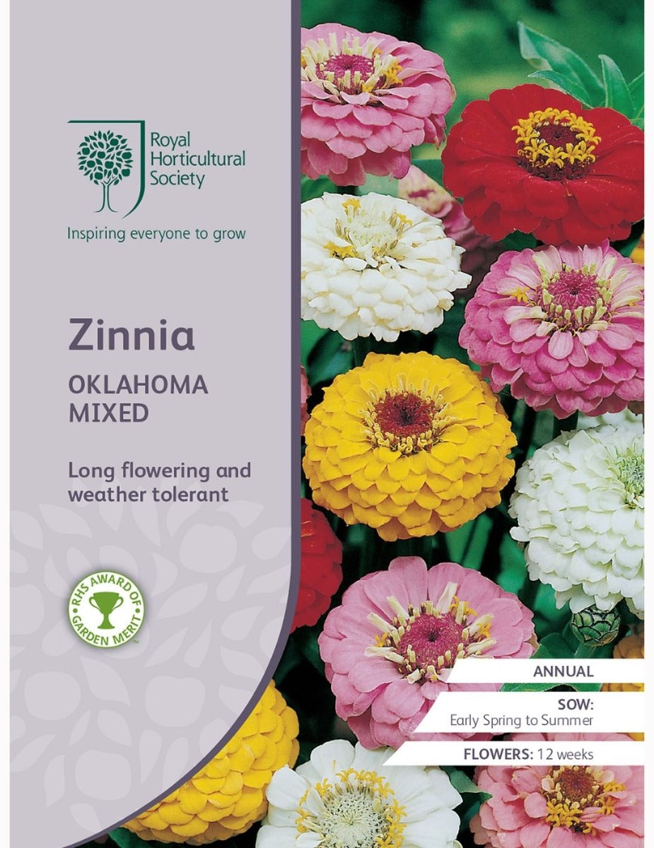 Zinnia Oklahoma Mix