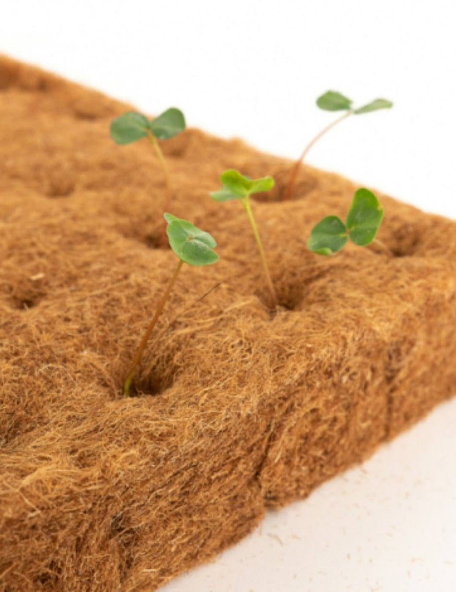 Terrafibre Hemp 1.5" Growing Cubes  (9 pack)