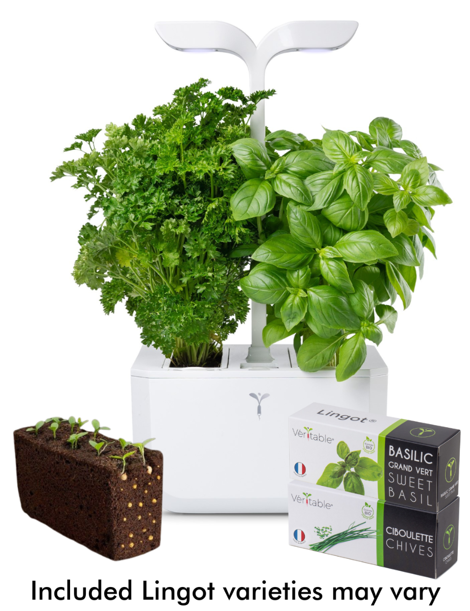 Véritable® EXKY Indoor Garden - CLASSIC