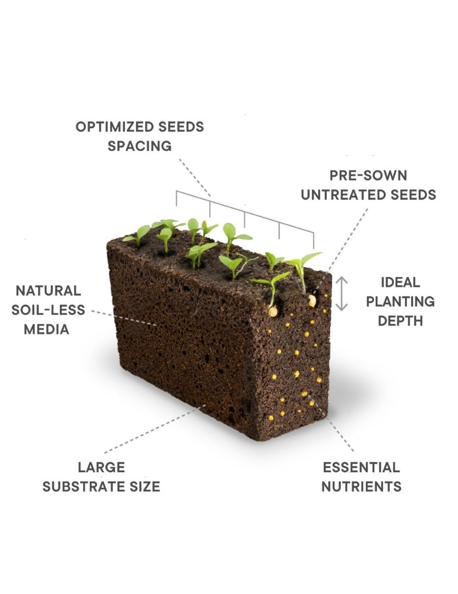 Véritable® EXKY Indoor Garden - CLASSIC