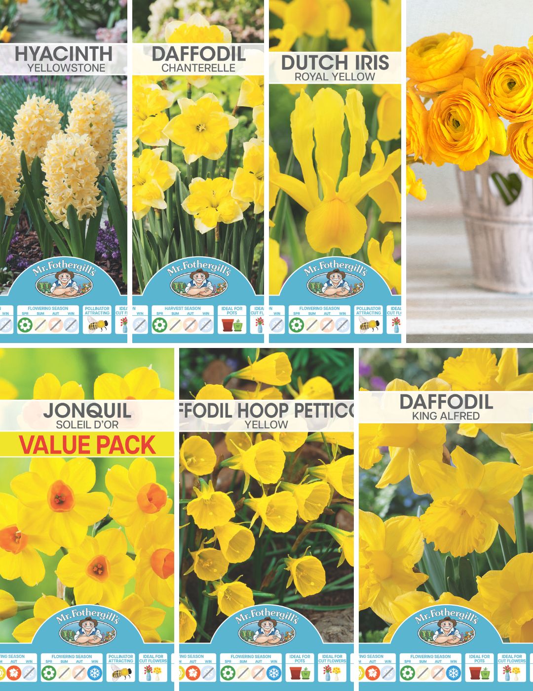 Yellow Bulbs Bundle