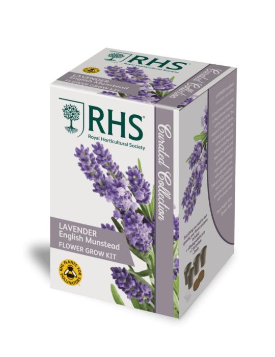 RHS Lavender English Munstead Flower Grow Kit				