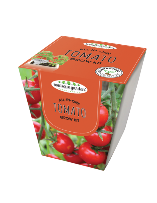 Square Ceramic Pot Tomato