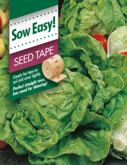 Mr Fothergill's Spinach Seed Tape