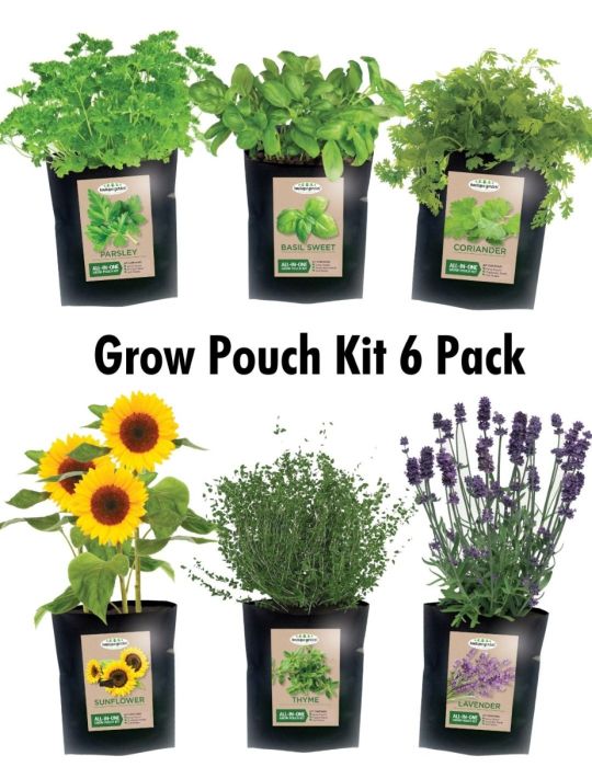 Black Grow Pouch Kit 6 Pack