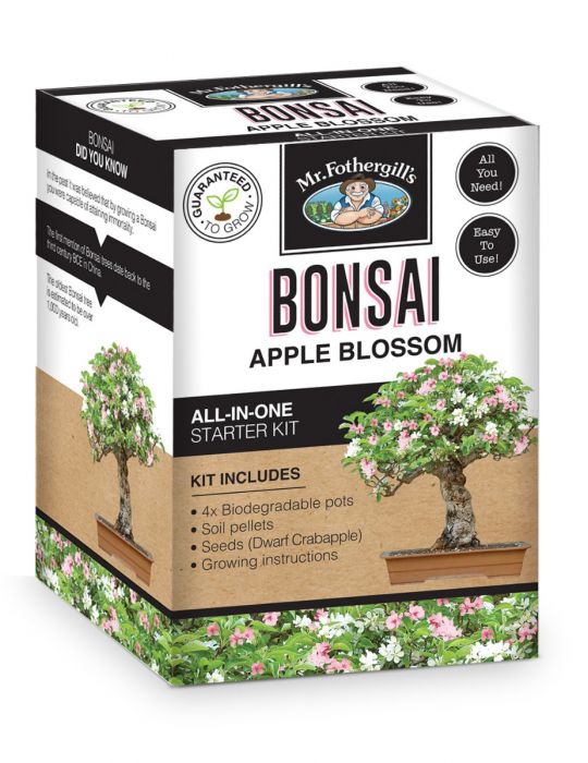 Bonsai Starter Kit - Apple Blossom