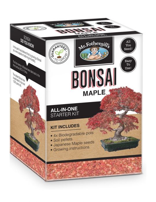 Bonsai Starter Kit - Maple