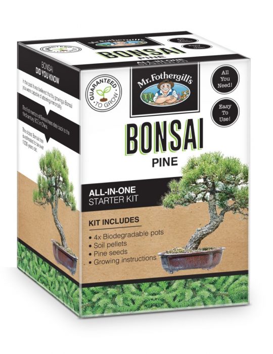 Bonsai Starter Kit - Pine