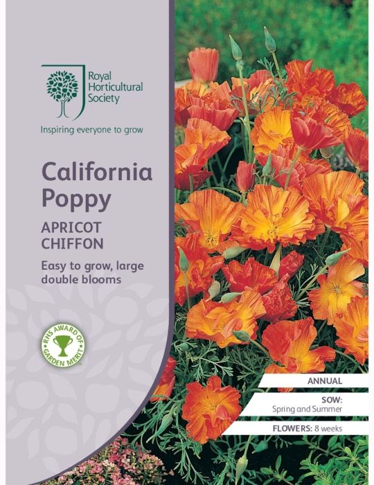 California Poppy Apricot Chiffon