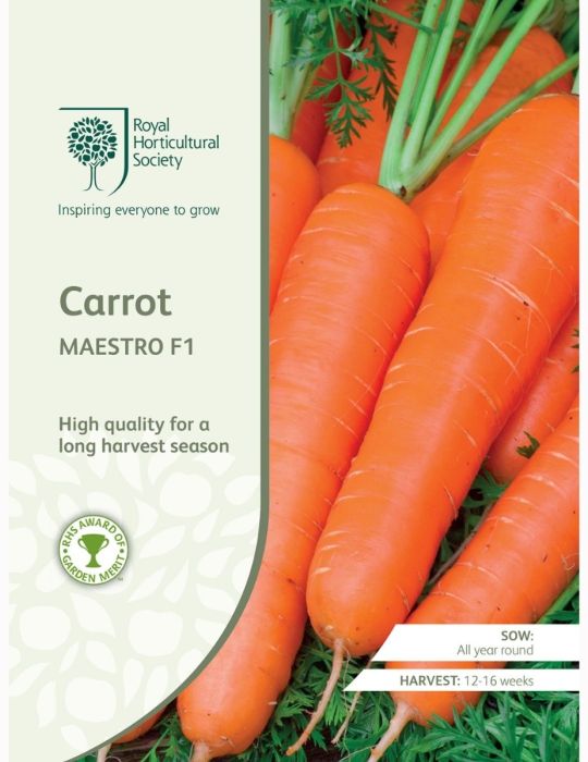 Carrot Maestro F1