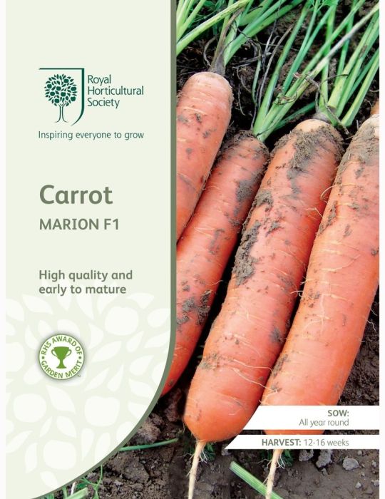Carrot Marion F1