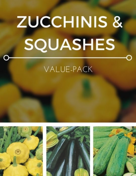 Zucchinis & Squashes Value Pack