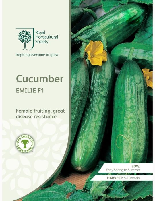 Cucumber Emilie F1