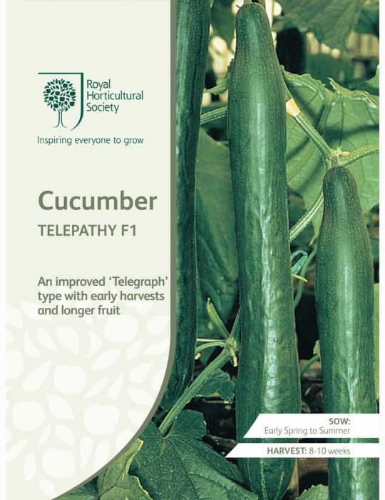 Cucumber Telepathy F1