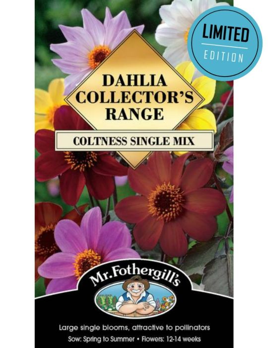 Dahlia Coltness Single Mix (Seeds) LIMITED EDITION