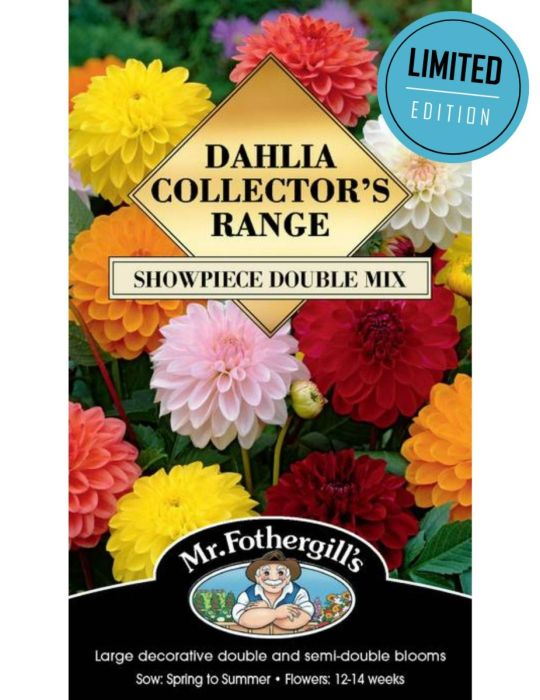 Dahlia Showpiece Double Mix (Seeds) LIMITED EDITION