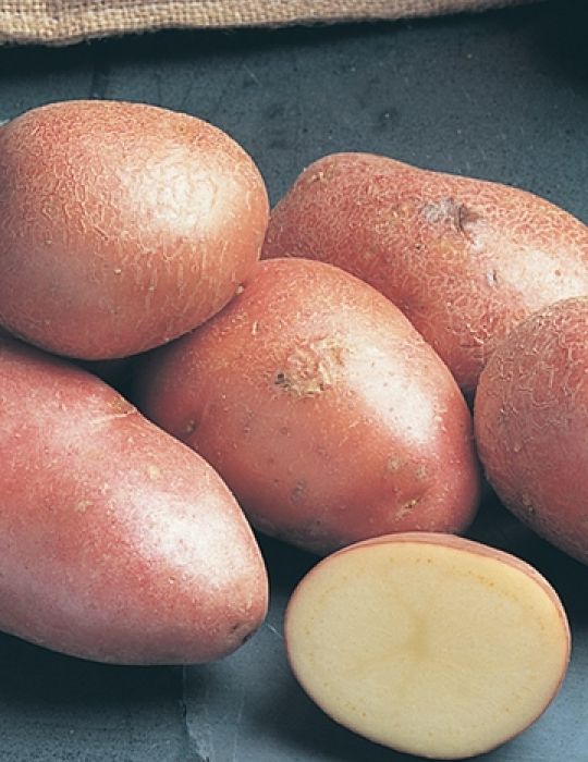 Potato Desiree 1kg bag