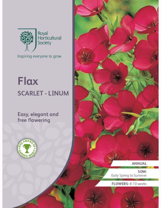 Flax Scarlet - Linum