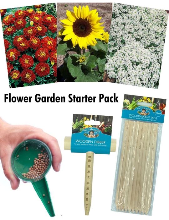 Flower Garden Starter Pack