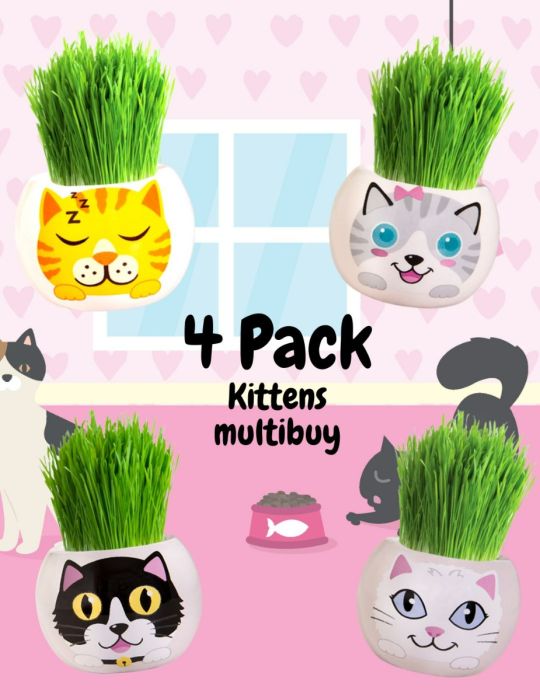 Grass Hair Kit - Kittens 4 Pack