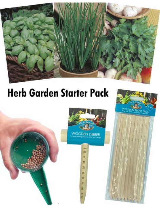 Herb Garden Starter Pack