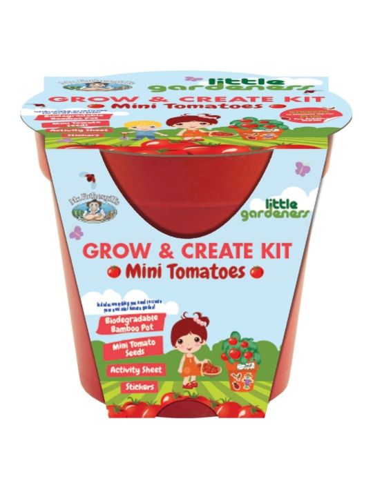Little Gardeners Grow & Create Pot Mini Tomato