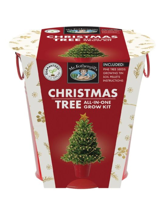 Christmas Tree - Round Grow Kit Tin (Limited Edition Red)