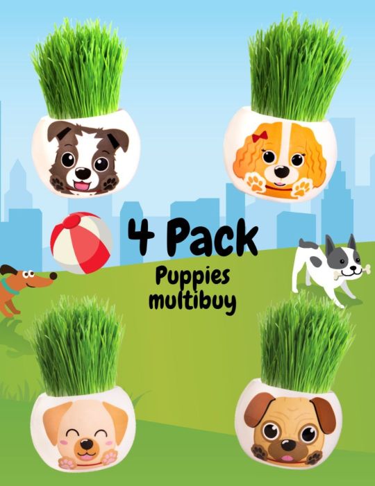 Grass Hair Kit - Puppies 4 Pack