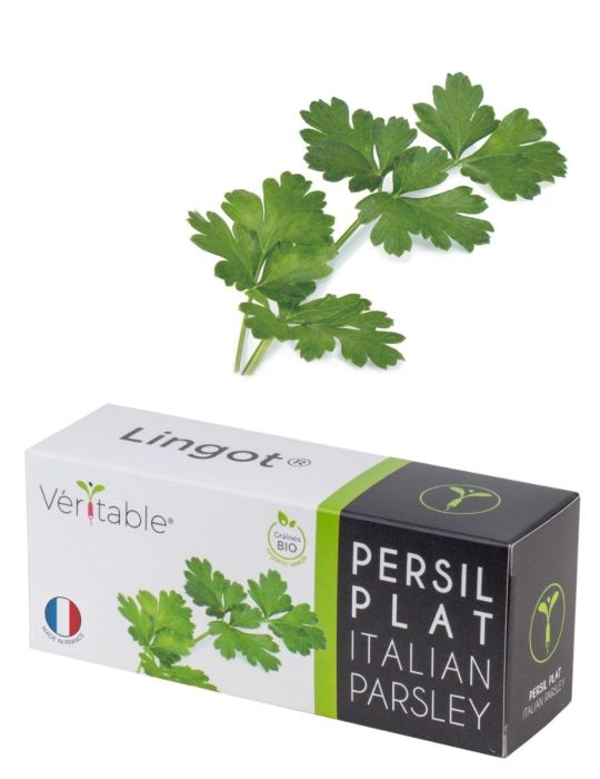 Véritable® Seed Lingot® - Parsley Italian Flat Leaf