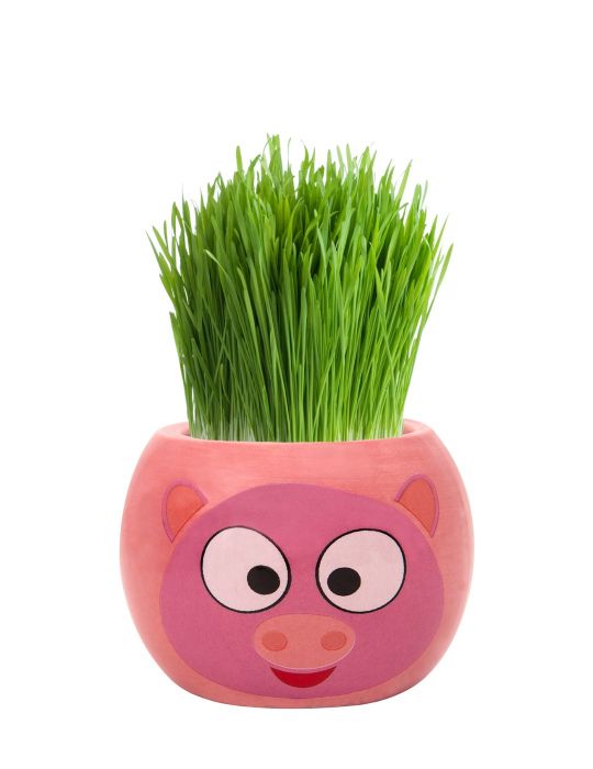 Grass Hair Kit - Farm Animals (Pig)