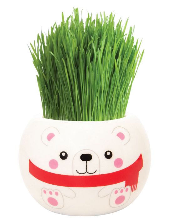 Grass Hair Kit - Christmas (Polar Bear)