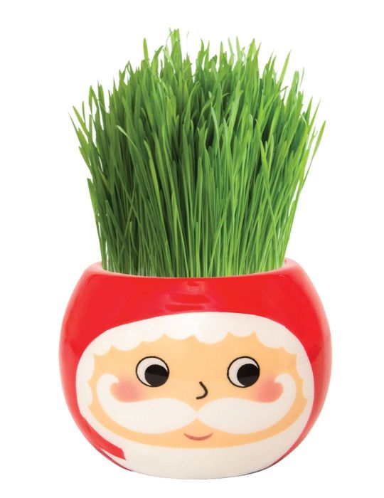 Grass Hair Kit - Christmas (Santa)