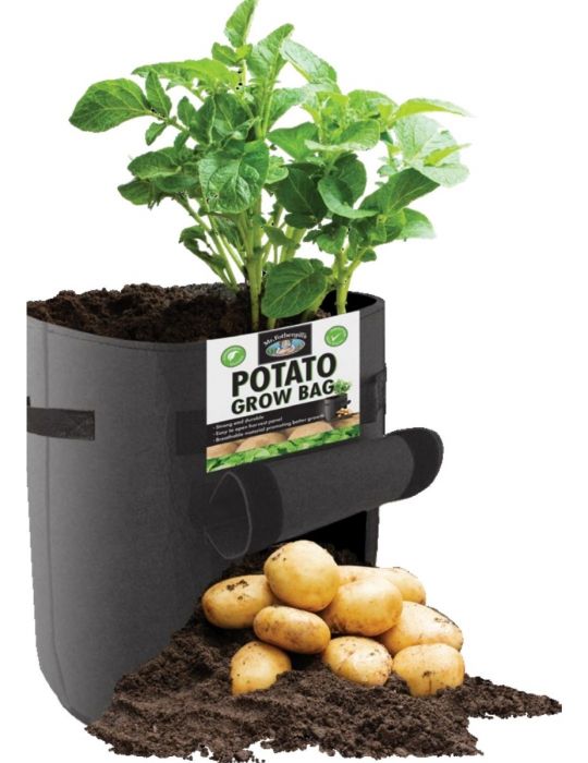 Premium Breathable Nonwoven Cloth Sweet Potato Growing Bucket with Flap and Handles for Potato/Carrot and More HOISTAC Potatoe Grow Bags,Potato Growing Kit/Plant Container 2 Pack 