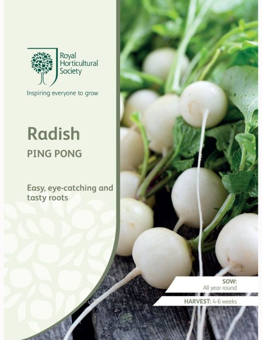 Radish Ping Pong