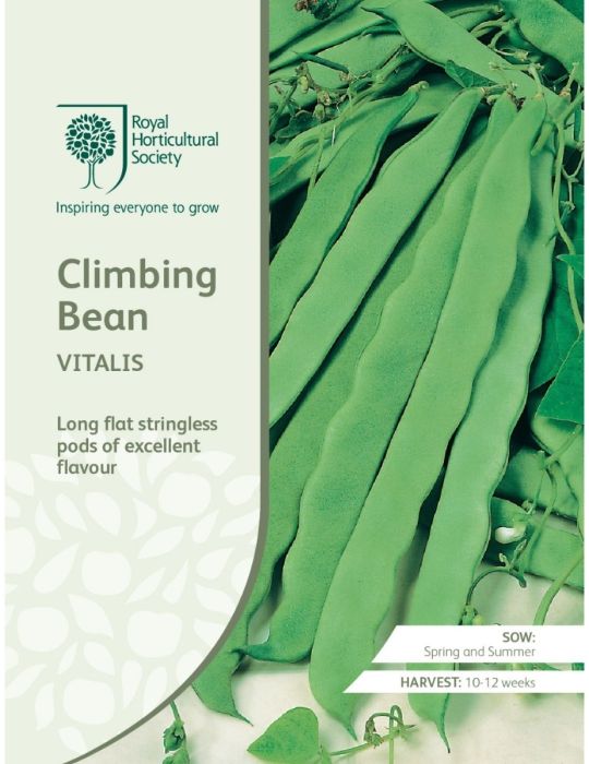Climbing Bean Vitalis