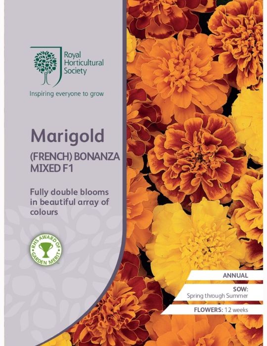 Marigold (French) Bonanza F1 Mixed