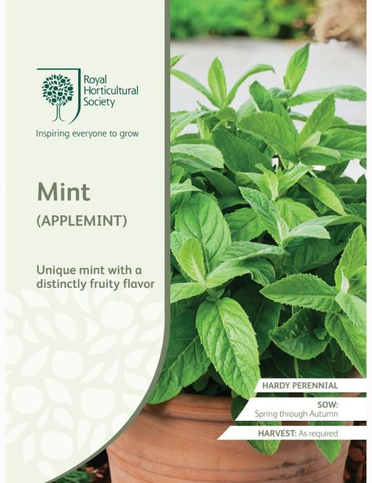 Mint Applemint