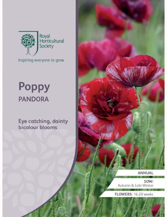 Poppy Pandora