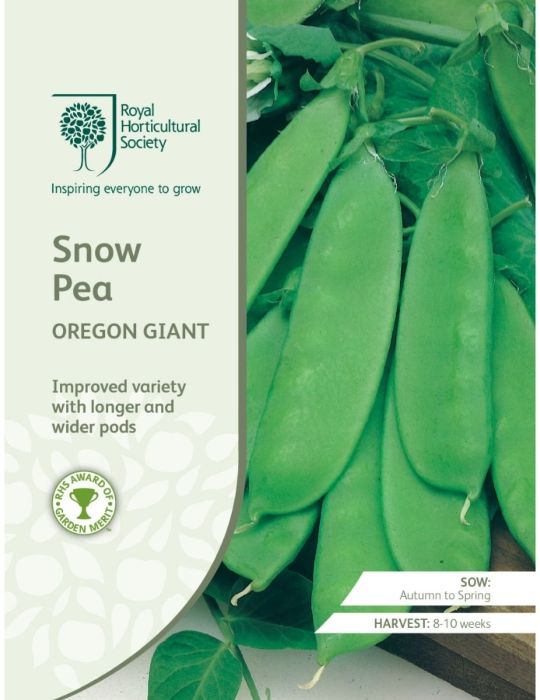 Snow Pea Oregon Giant - NOT AVAILABLE TO TAS