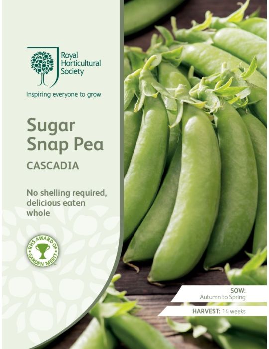 Sugar Snap Pea Cascadia - NOT AVAILABLE TO TAS