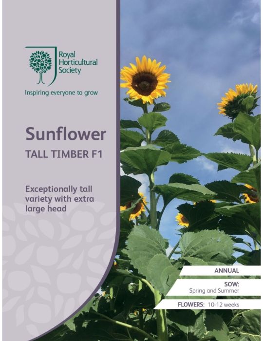 Sunflower Tall Timber F1