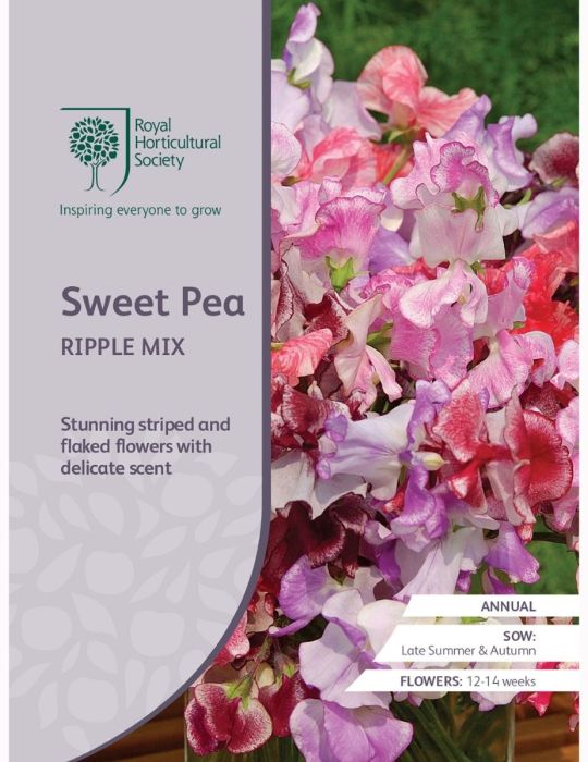 Sweet Pea Ripple Mix