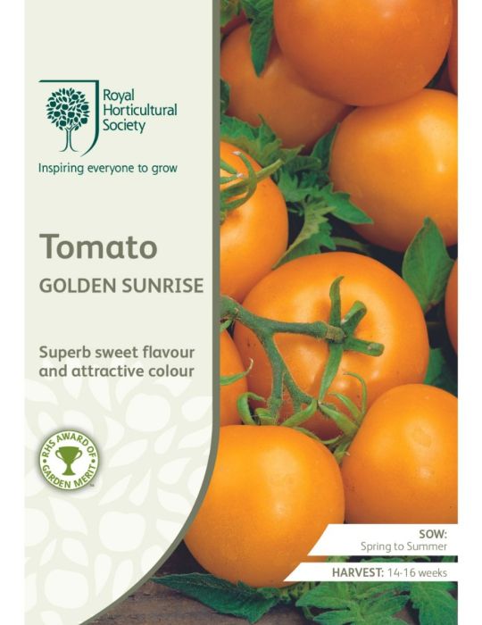 Tomato Golden Sunrise