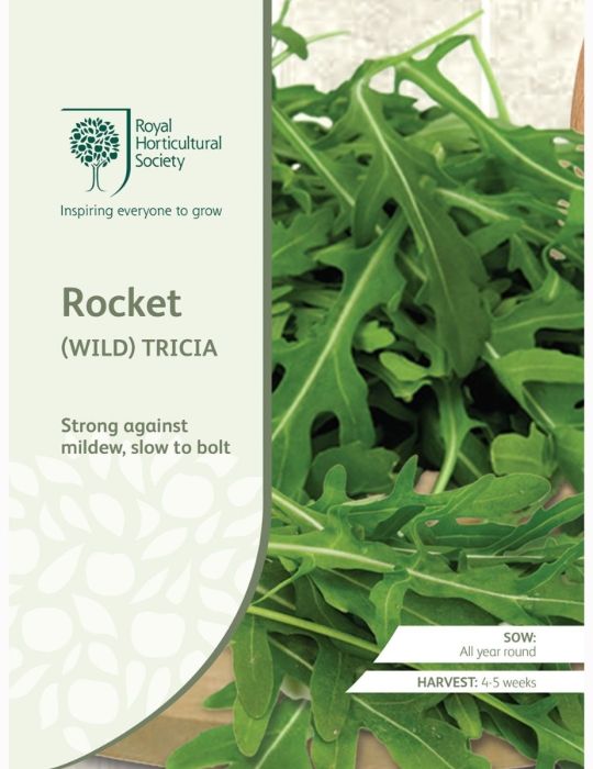 Rocket (Wild) Tricia