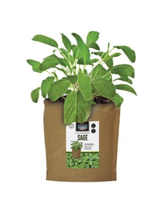 Sage - Grow Pouch Kit