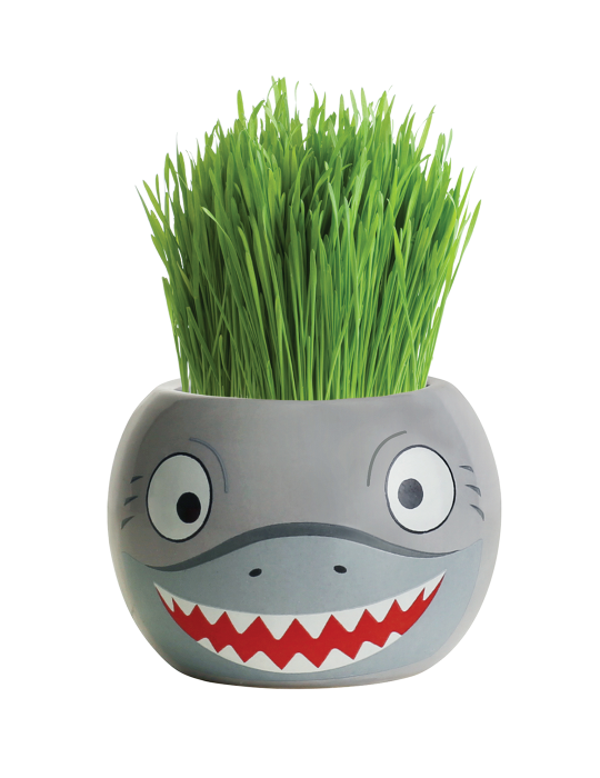 Grass Hair Kit - Ocean Animals (Shark)